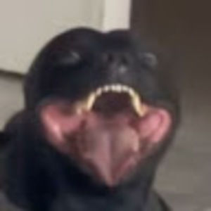 Meet your Posher, Jaden